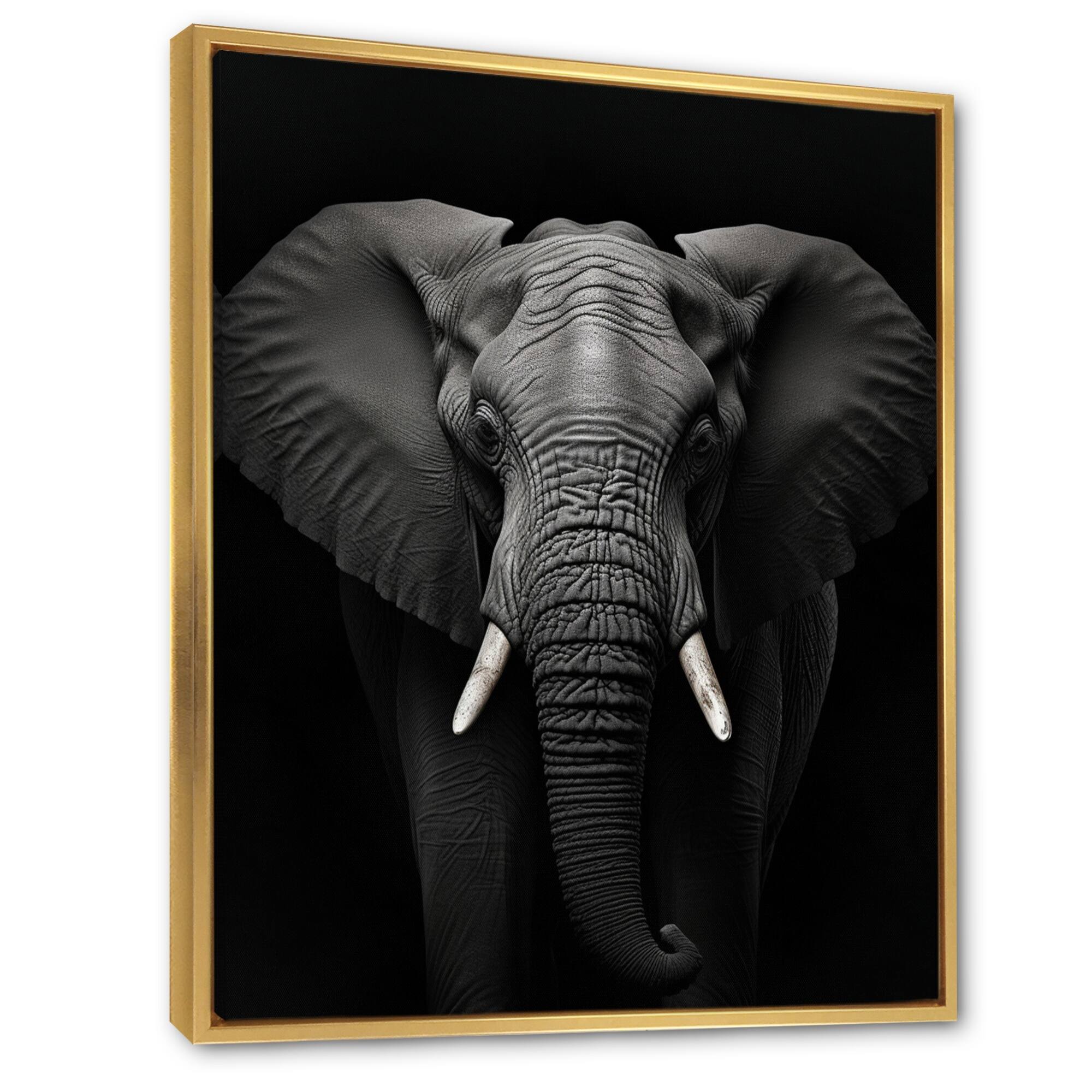 Designart "Black And White Elephant Photo II" Animals Elephant Framed